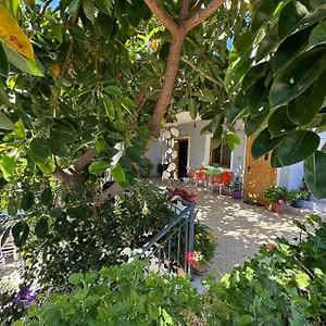 Albi's , Ksamil Albania
